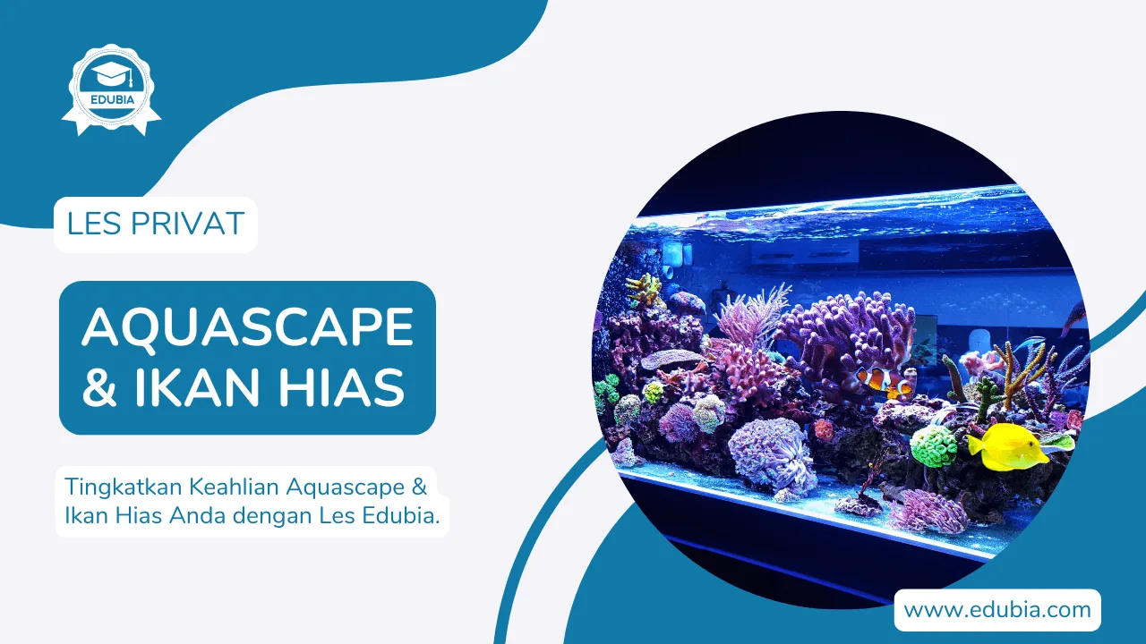 Les Aquascape dan Ikan Hias Surabaya