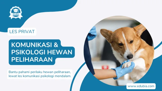 Les Komunikasi dan Psikologi Hewan Peliharaan Surabaya