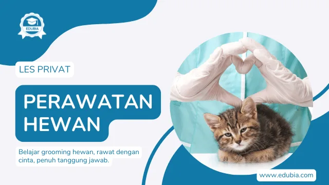 Les Perawatan Hewan Surabaya